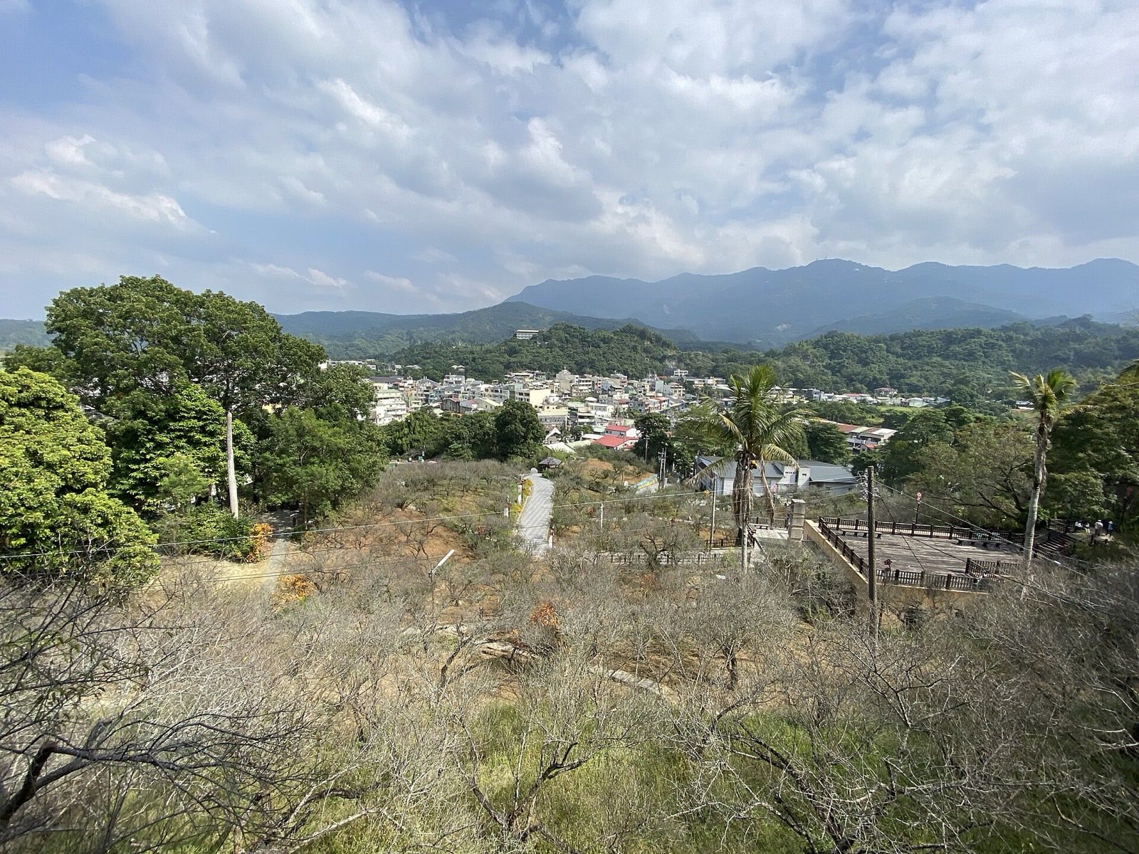 從梅山公園高處俯瞰梅林、步道與梅山市區，遠方為阿里山方向群峰